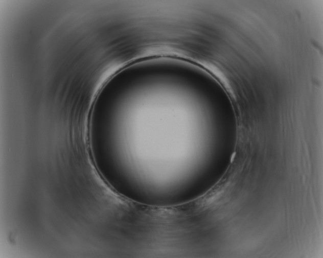 X0000091370815200708241332