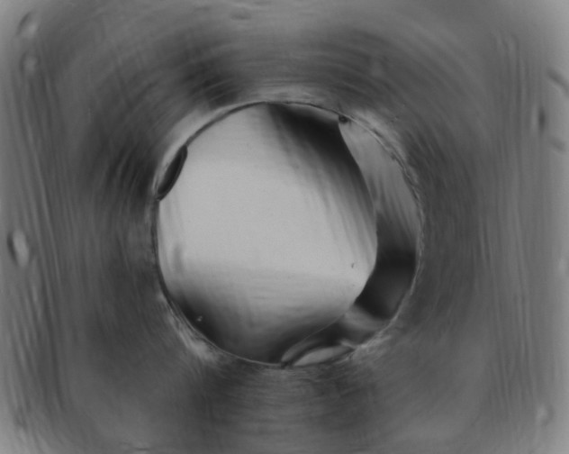 X0000091370816200708241332