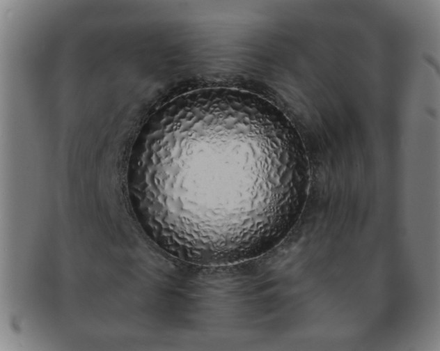 X0000091370817200708241331