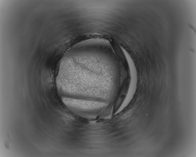 X0000091370818200708241331