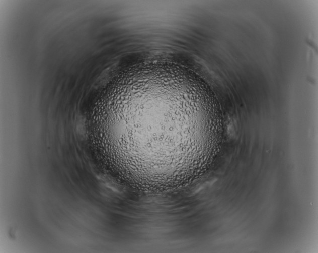 X0000091370819200708241331