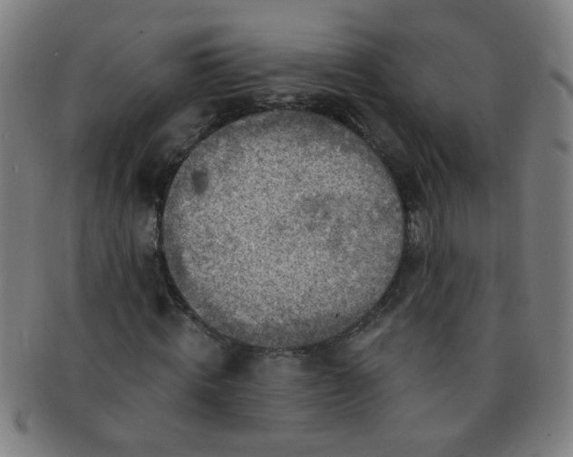 X0000091370820200708241331