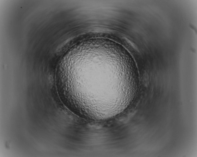 X0000091370821200708241331