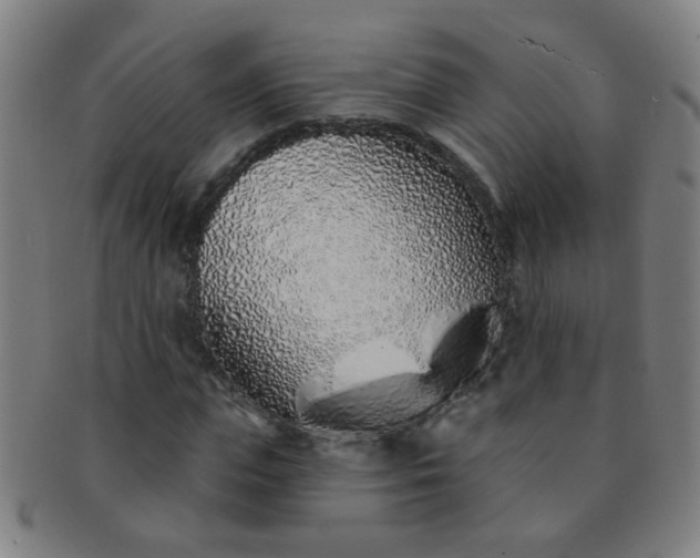 X0000091370823200708241331