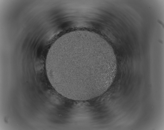 X0000091370824200708241331