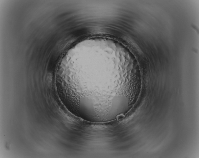 X0000091370825200708241331