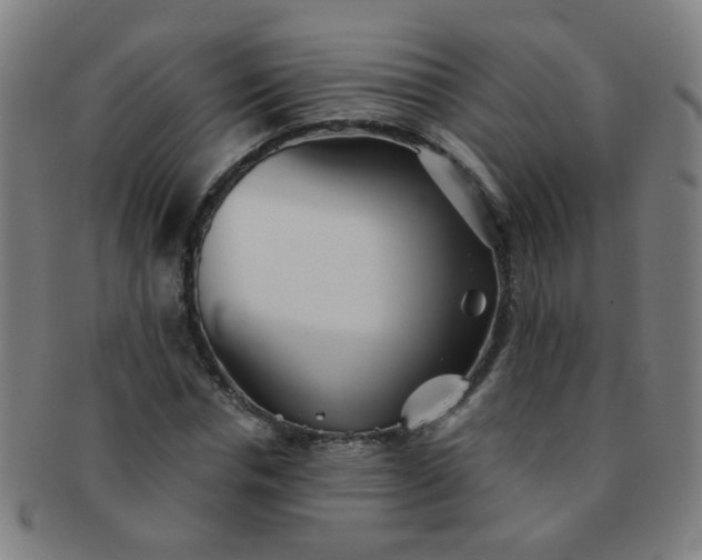 X0000091370826200708241331