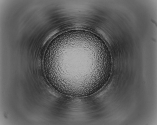 X0000091370827200708241331