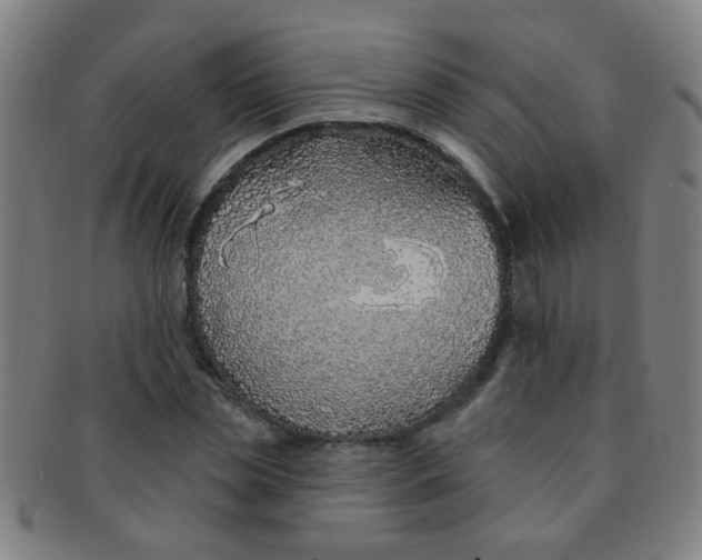 X0000091370829200708241331