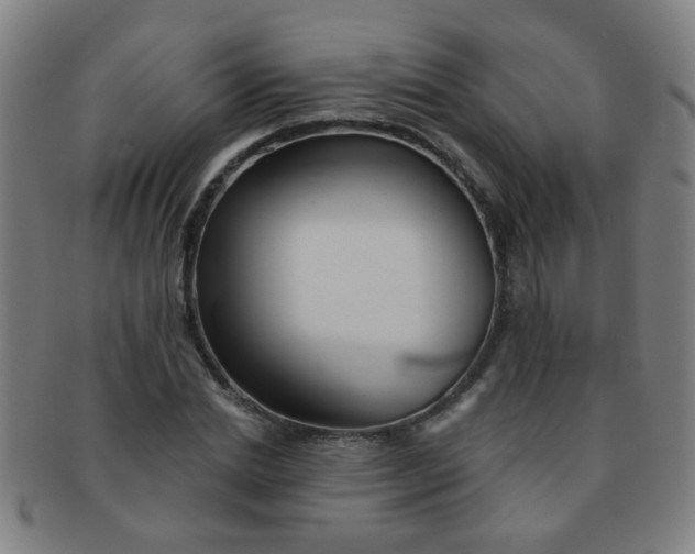 X0000091370830200708241331