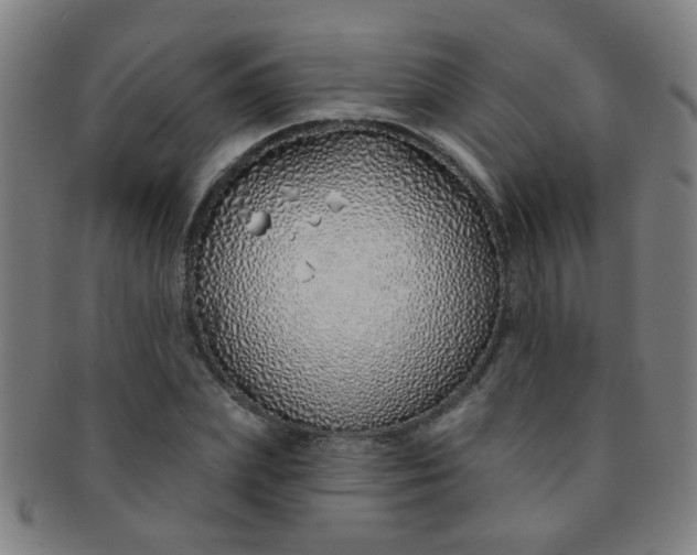 X0000091370831200708241331