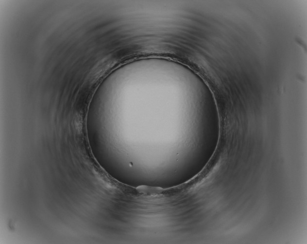 X0000091370833200708241331