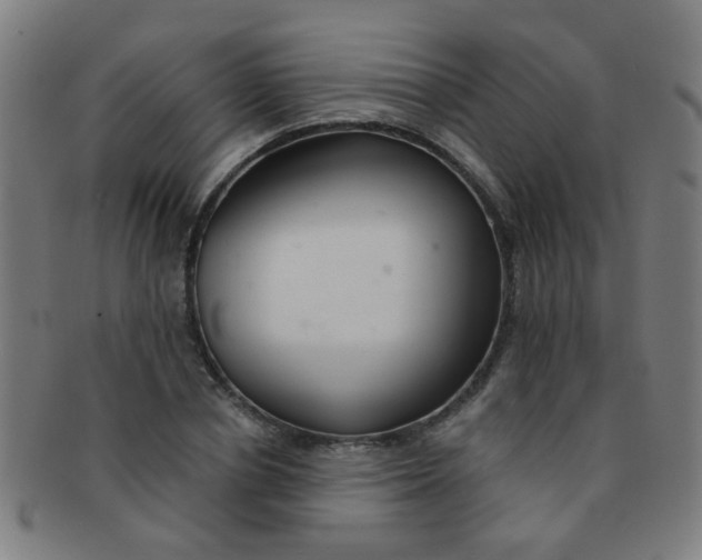 X0000091370834200708241331