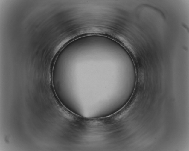 X0000091370837200708241331