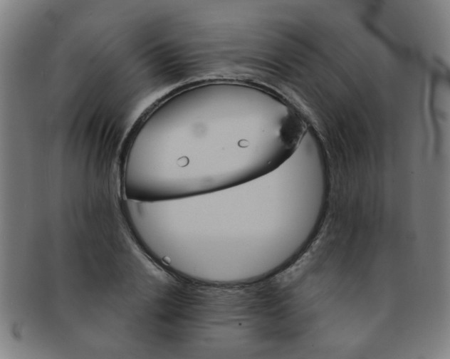 X0000091370838200708241331