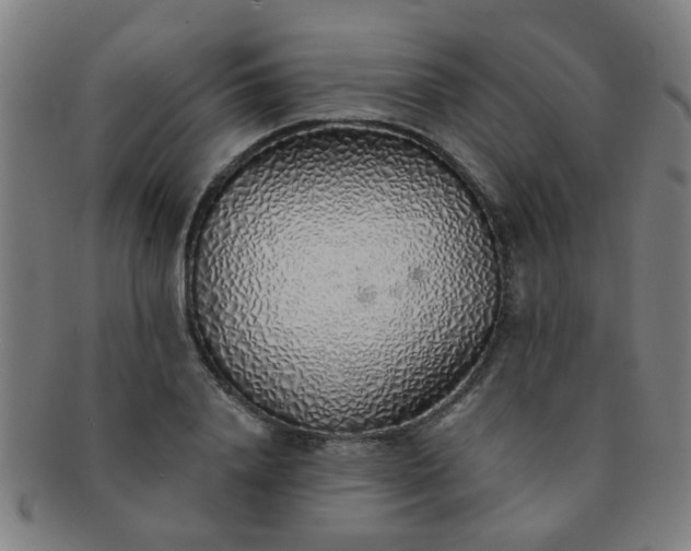 X0000091370840200708241331