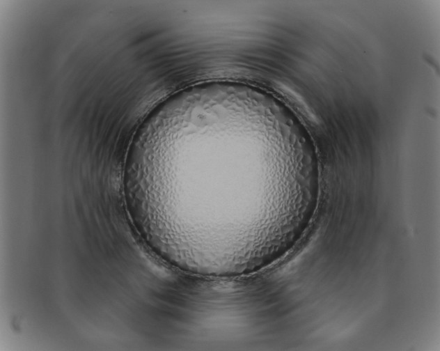 X0000091370841200708241331