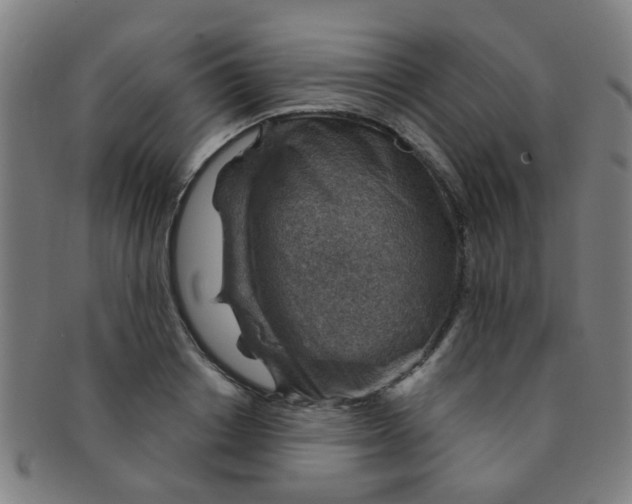 X0000091370842200708241331