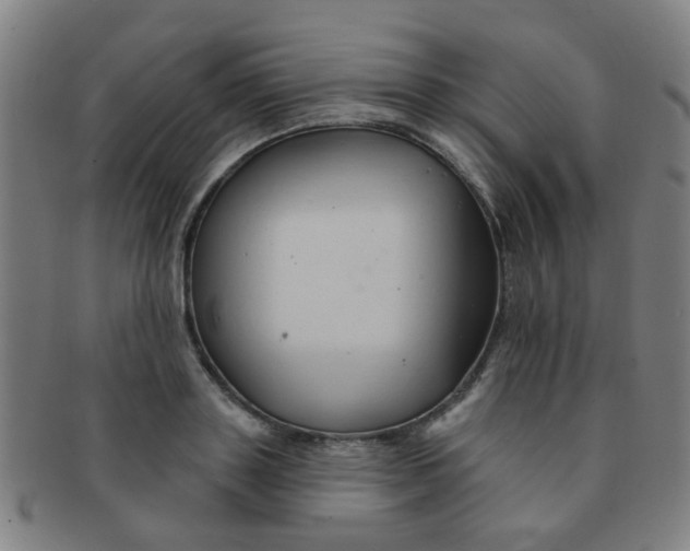 X0000091370843200708241332