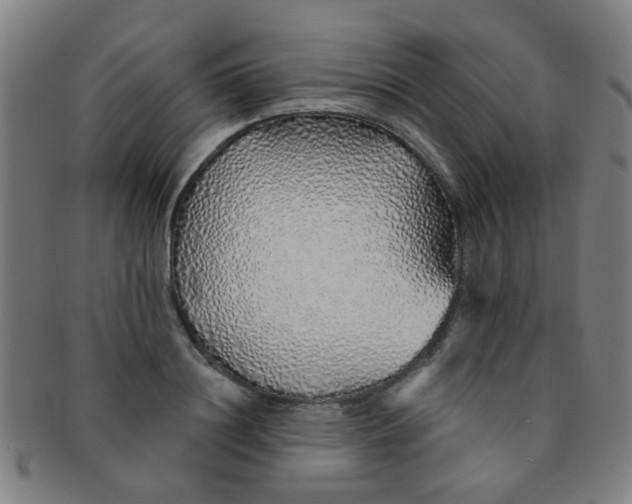 X0000091370844200708241332