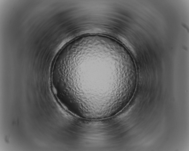 X0000091370845200708241332