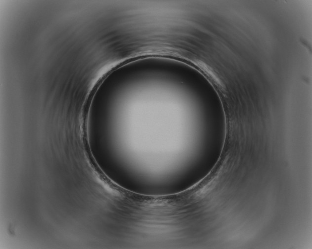 X0000091370846200708241332