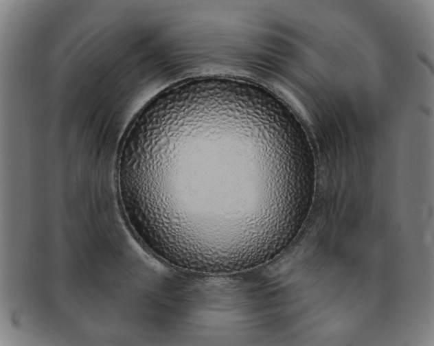 X0000091370847200708241332