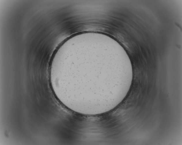 X0000091370848200708241332