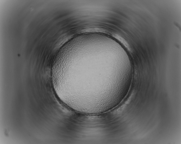 X0000091370849200708241332