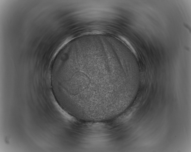 X0000091370851200708241332