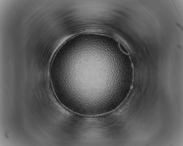 X0000091370852200708241332