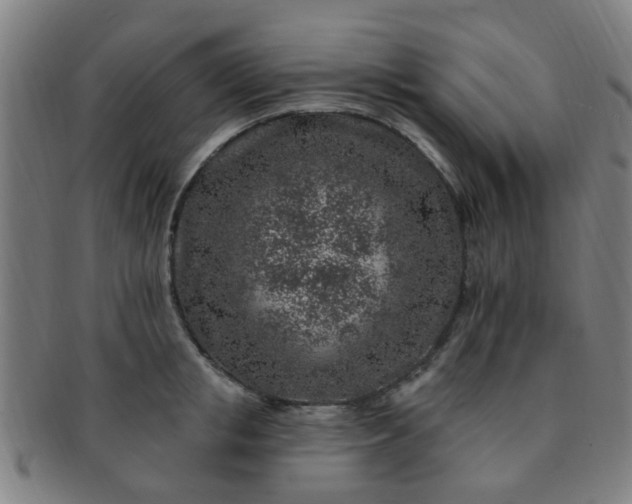 X0000091370853200708241332