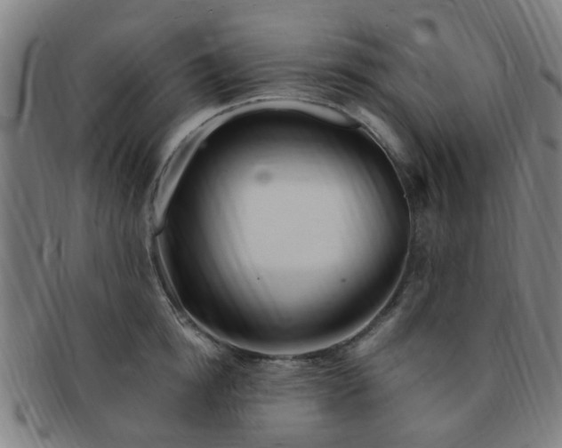 X0000091370854200708241332