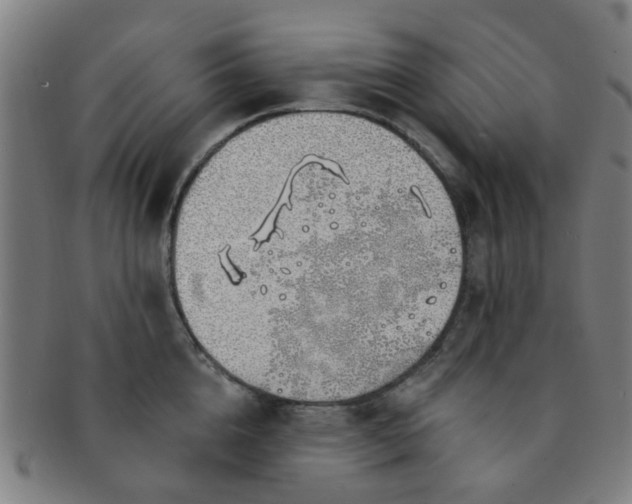 X0000091370856200708241332