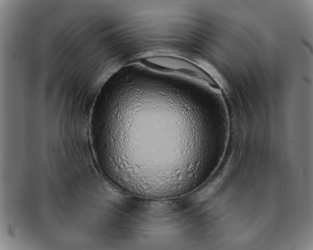 X0000091370857200708241332