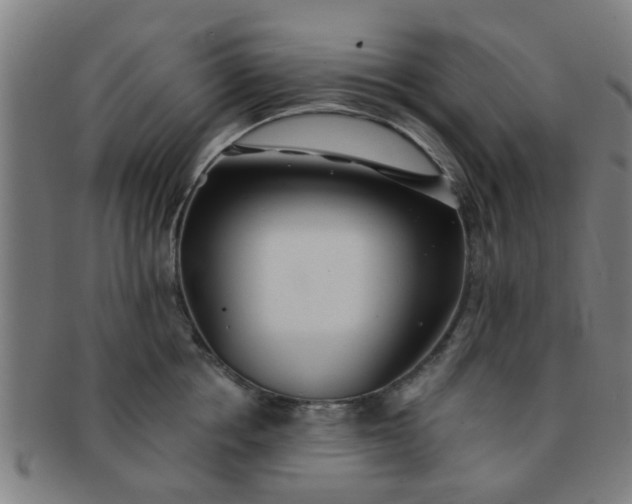 X0000091370858200708241332