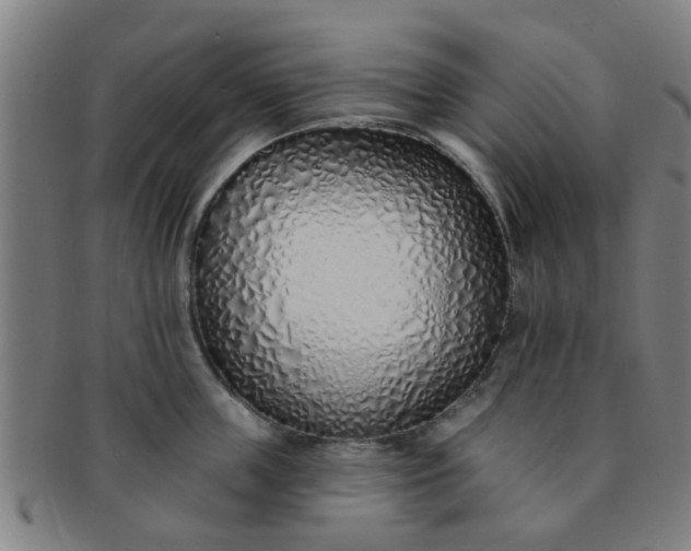 X0000091370859200708241332