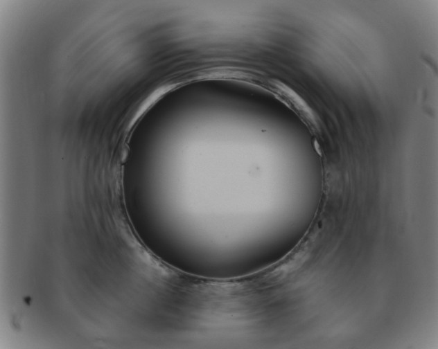 X0000091370860200708241332