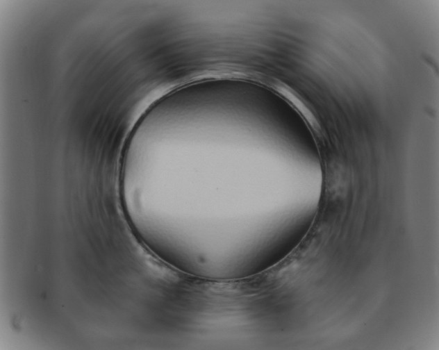 X0000091370861200708241332