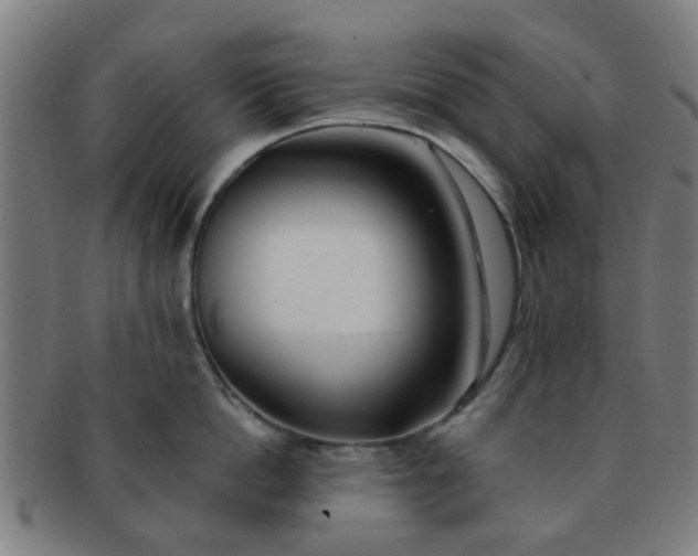 X0000091370862200708241332