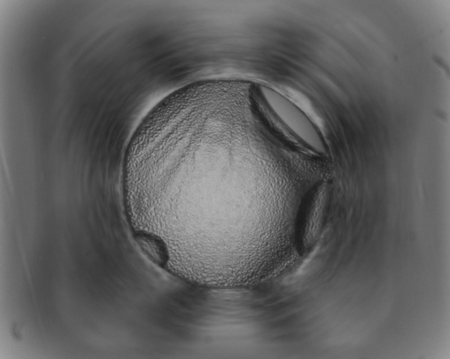 X0000091370863200708241332