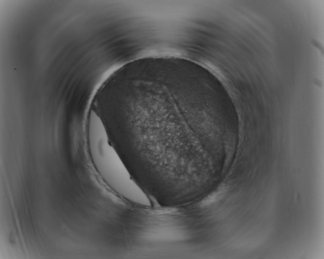 X0000091370864200708241332