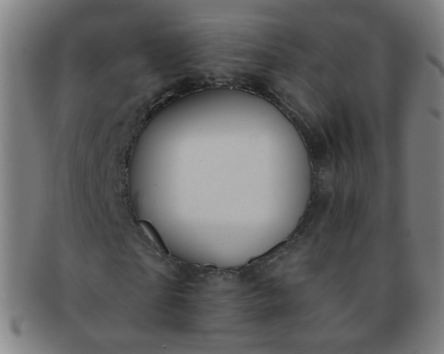 X0000091370865200708241331