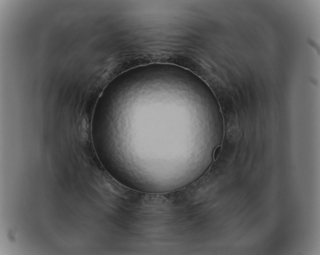 X0000091370866200708241331