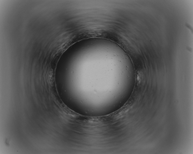 X0000091370867200708241331