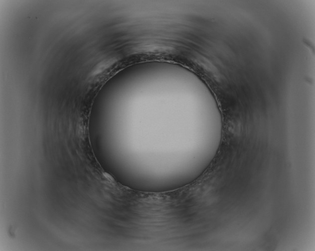 X0000091370869200708241331