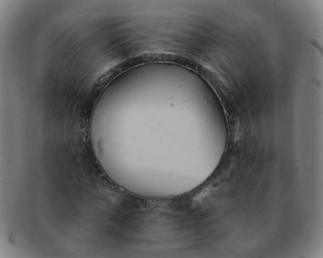 X0000091370870200708241331