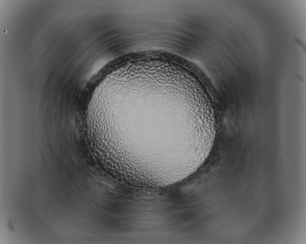 X0000091370871200708241331