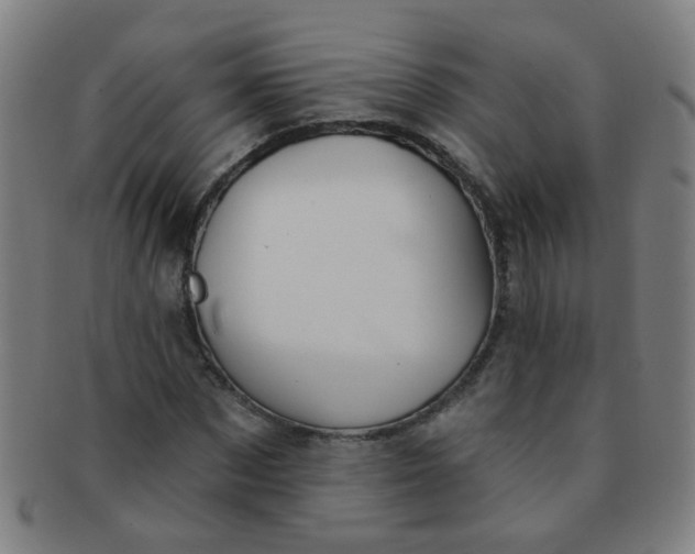 X0000091370873200708241331