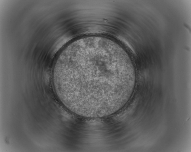 X0000091370874200708241331